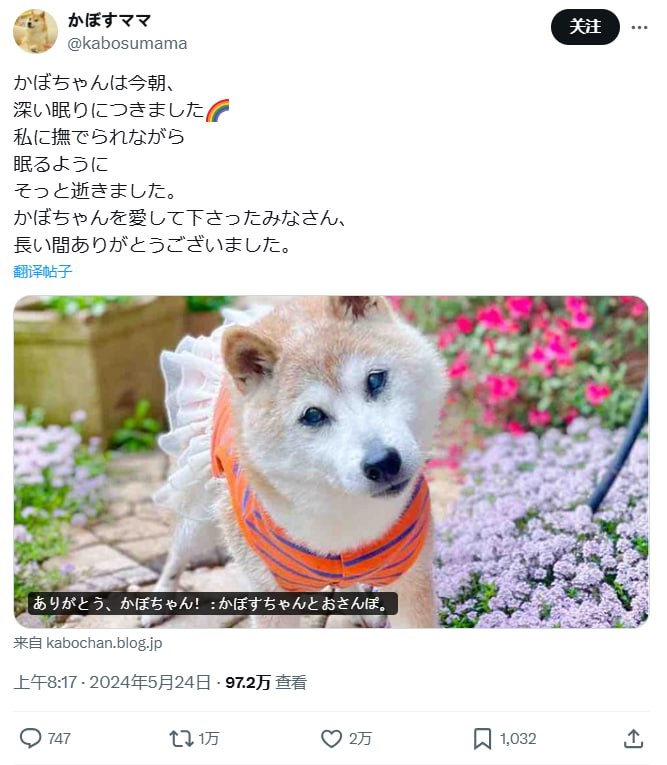 Doge原型离世