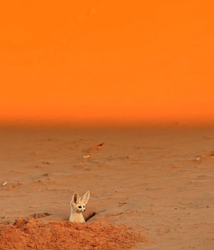 Mars rover discovers lifefrom Cute Happy Stuffs