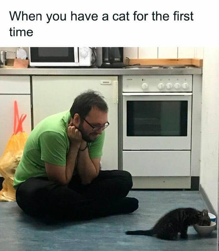 from allient neko