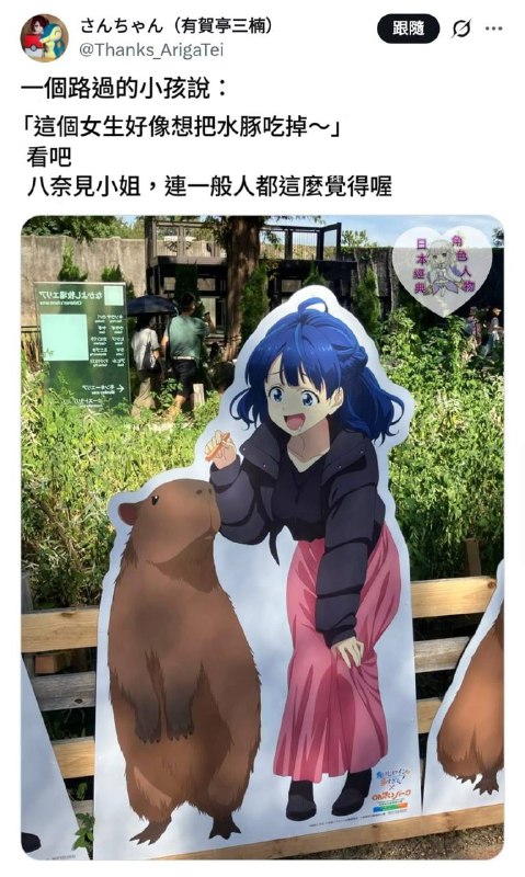 from allient neko