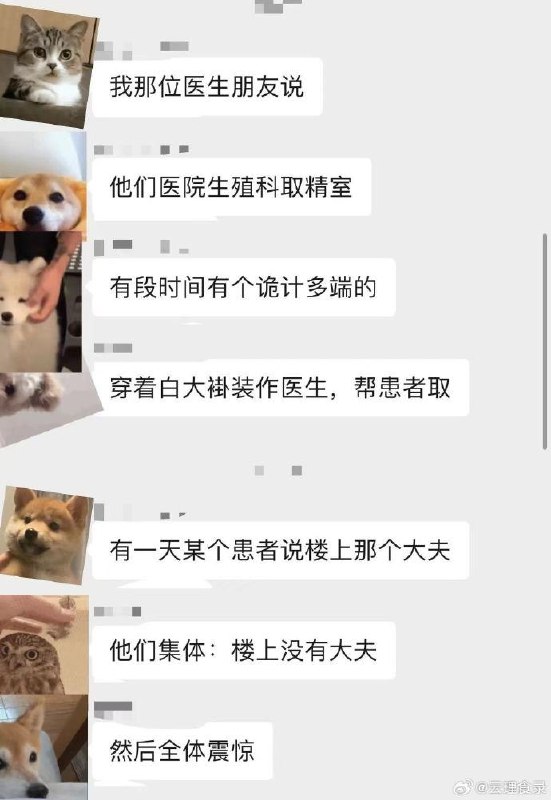 哪位群友，榨汁机吗？哪位群友，榨汁机吗？
