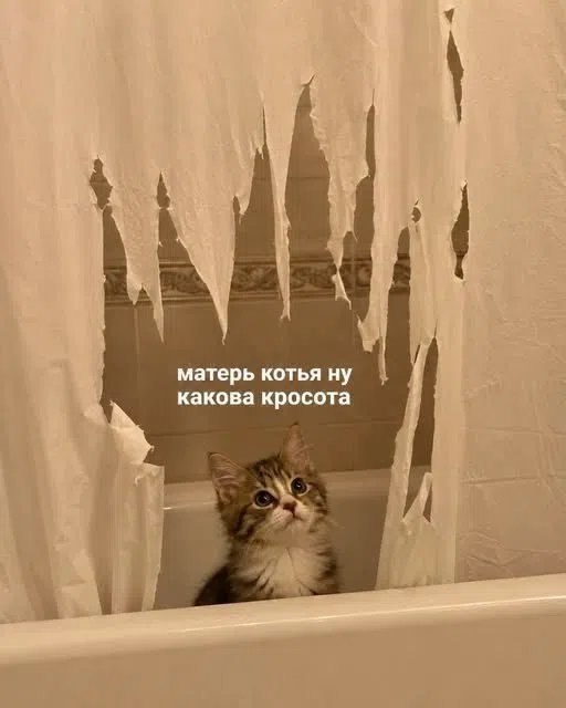 from Свидетели и Егоры