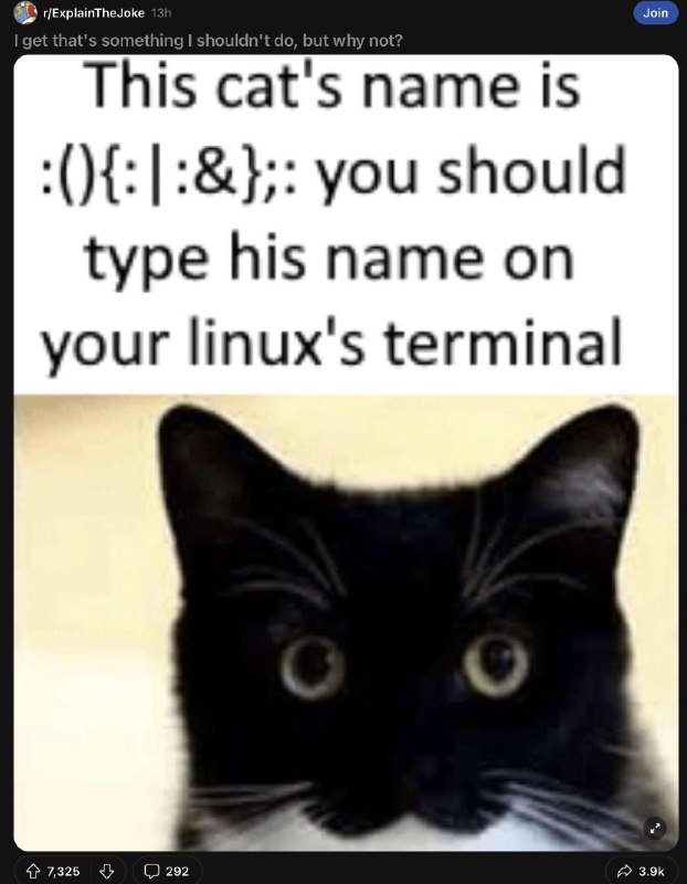 [Meme] probablyNotForkBomb