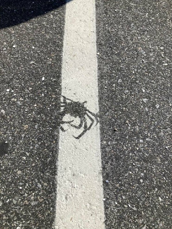 とんかつ