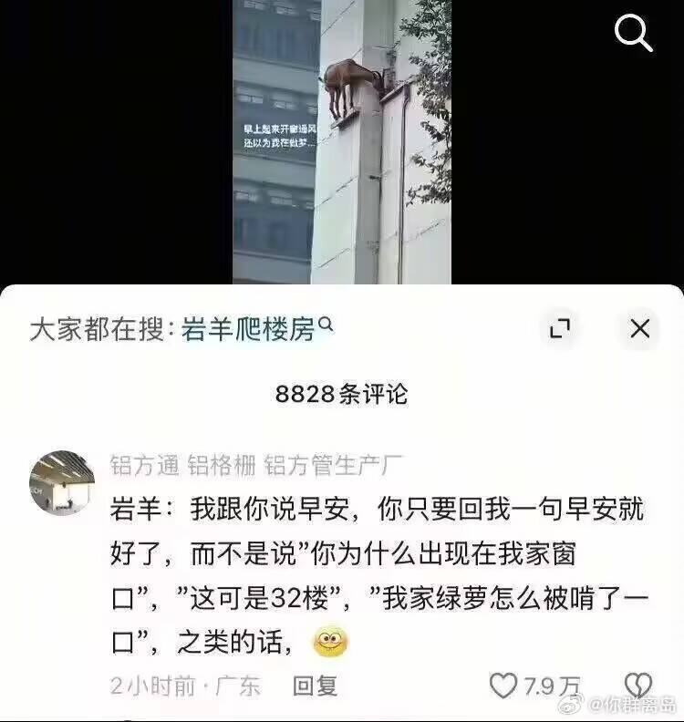 我草via 你群离岛的微博from RSS to Telegram Bot