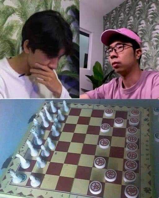 國際象棋via 雨喵 | (´・ω・`)