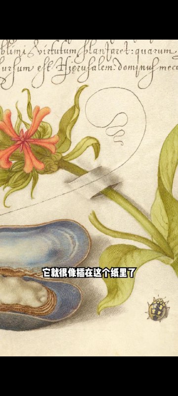 淘气的小猫，其实是画家的顽皮