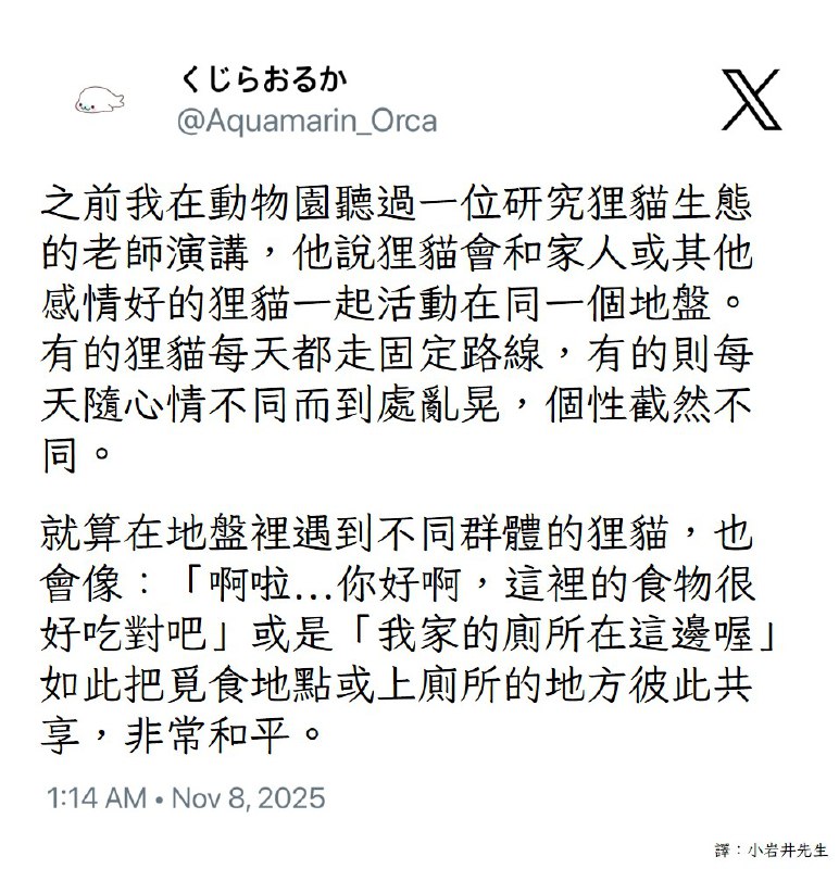 from Lizard Man 蜥蜴人 🦎from Lizard Man 蜥蜴人 🦎