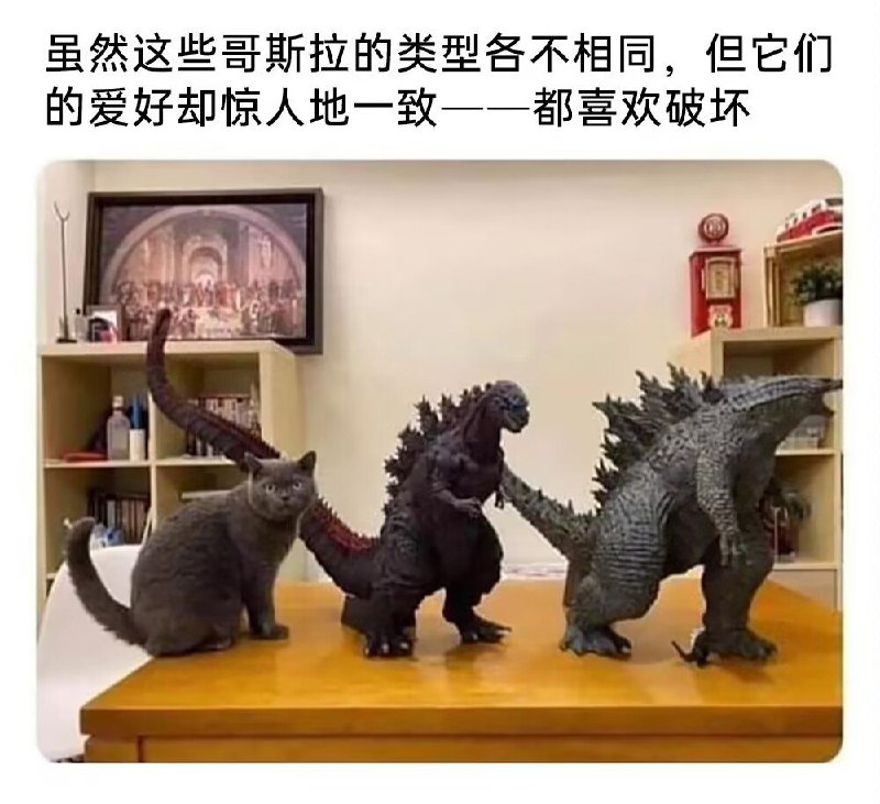 from 猫猫窝🐈🐈‍⬛