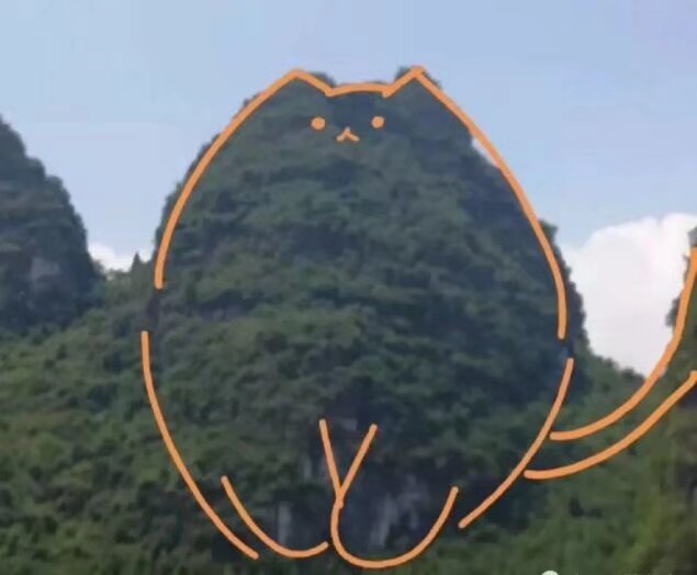 from 猫猫窝🐈🐈‍⬛️from 猫猫窝🐈🐈‍⬛️