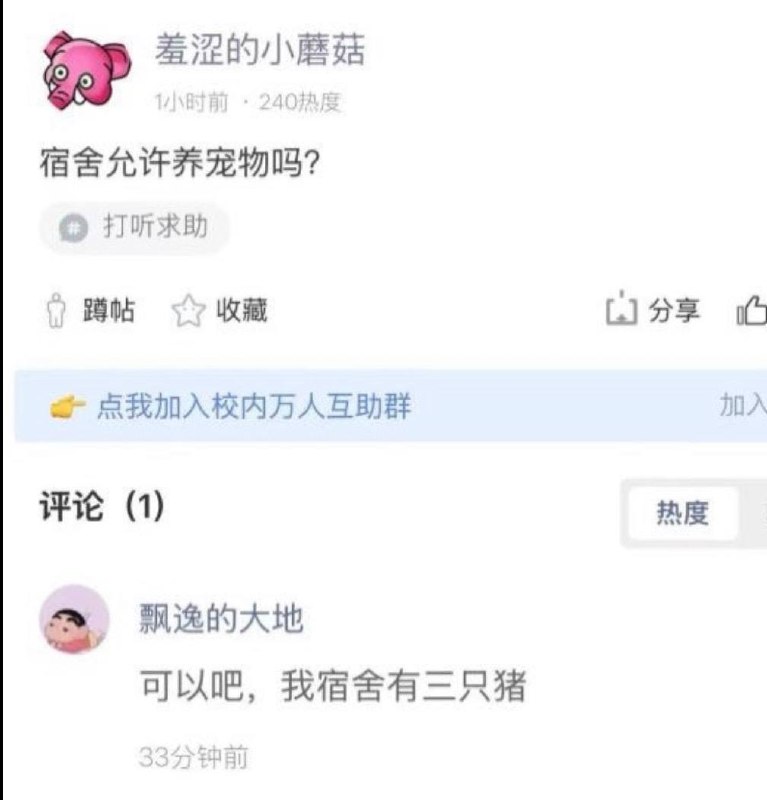 投稿人