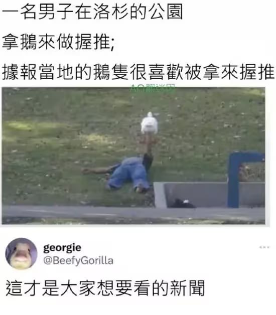 via 7号沙雕网友
