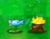 via my nbklsvia my nbkls