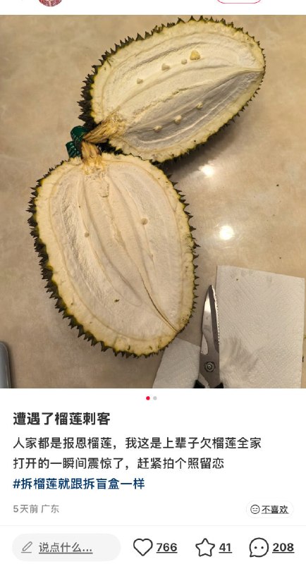 😧from 平壤卫视