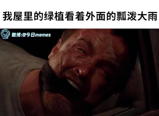 via 7号沙雕网友