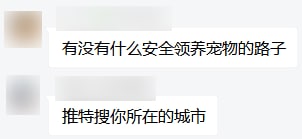 #群友弱智发言from Rosmontis's blog🔅