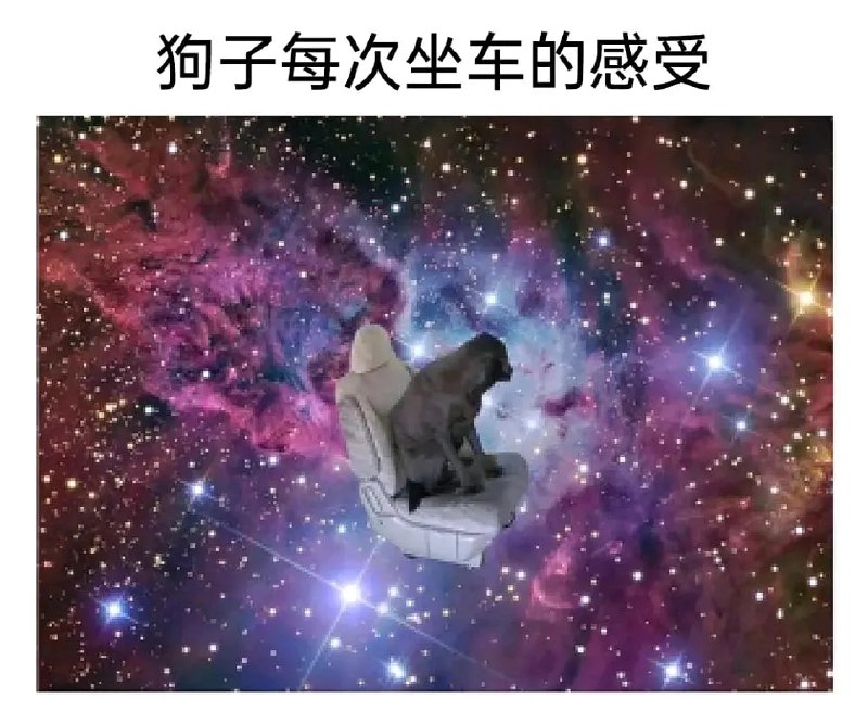via 6号沙雕网友