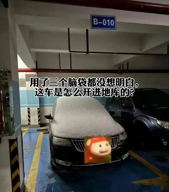 🤔from 平壤卫视