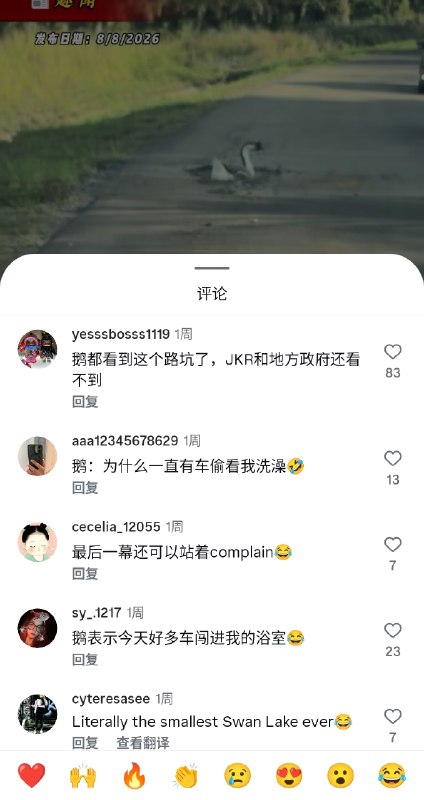 🤣🪿🪿🦢🦢🤣🪿🪿🦢🦢