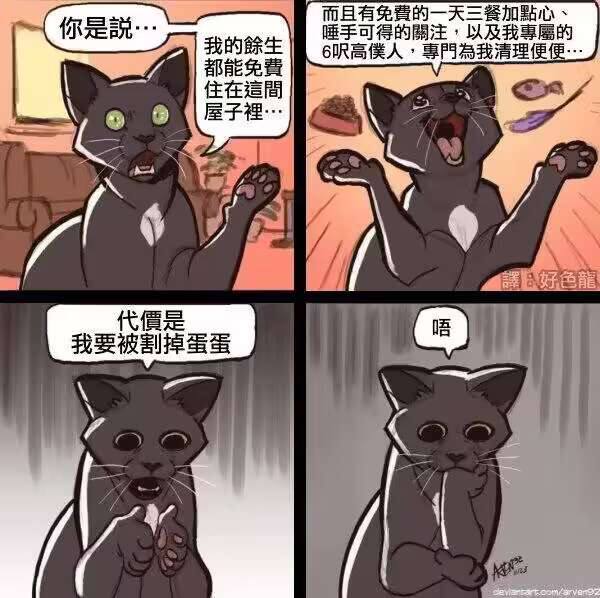 from 翀の杂七杂八