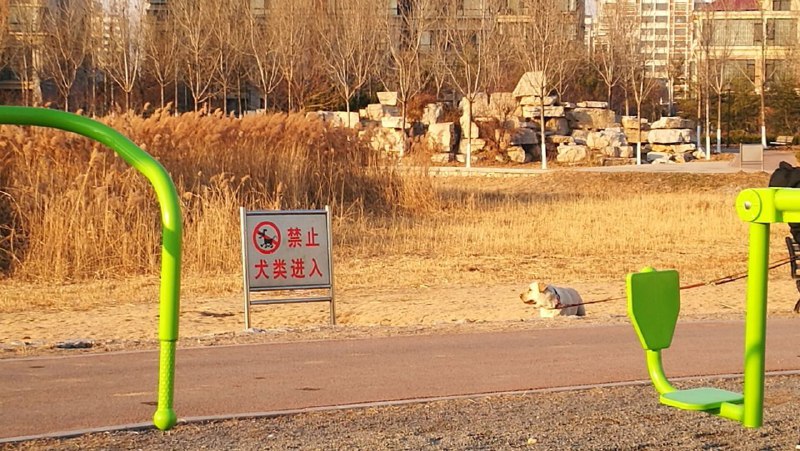 via 臭棋篓子