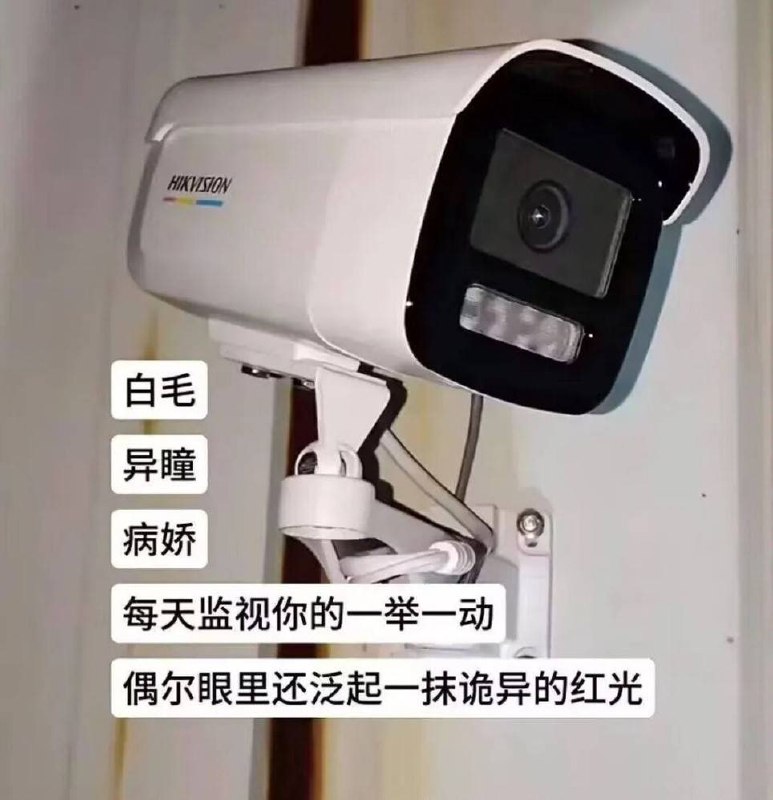 via 8号沙雕网友