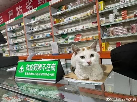 via 7号沙雕网友