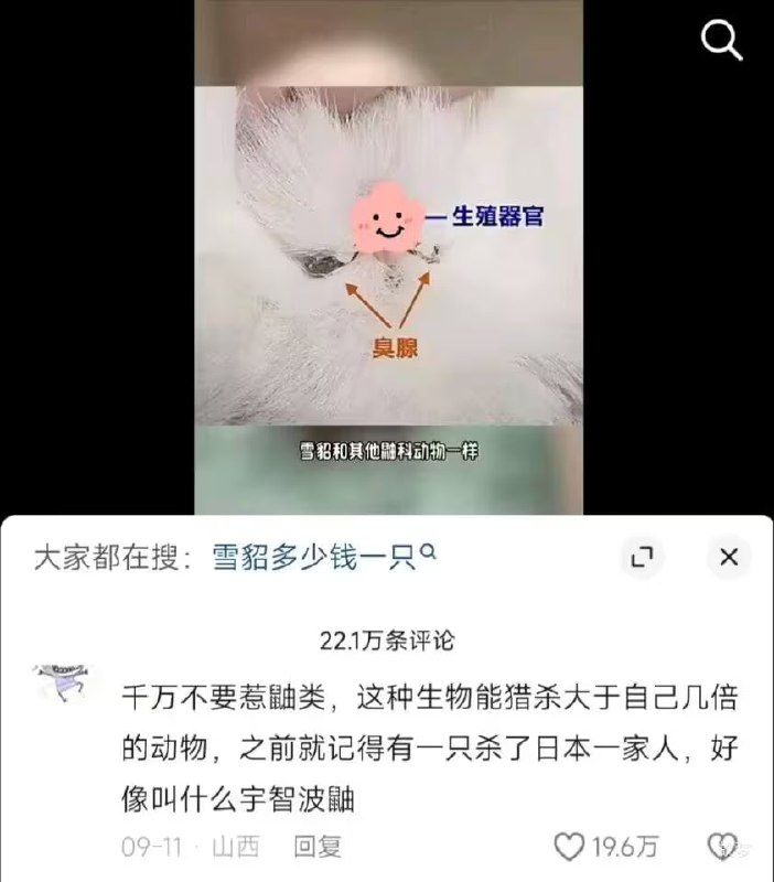 via 6号沙雕网友