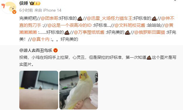 from ⚠️ 美图与沙雕 ⚠️｜频道可能会变质，但……from ⚠️ 美图与沙雕 ⚠️｜频道可能会变质，但……