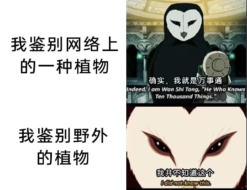 via 7号沙雕网友