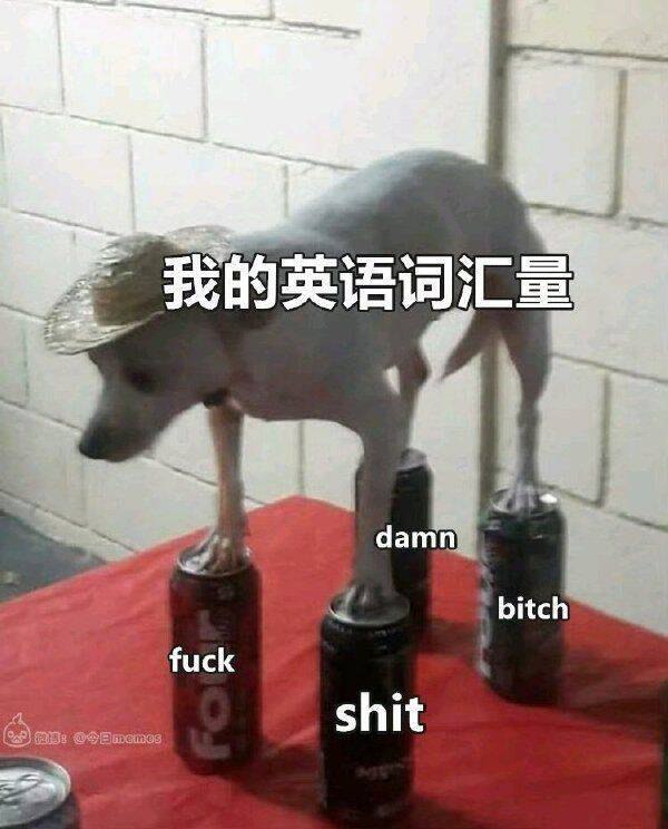 from 美图与沙雕