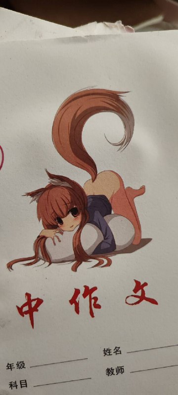 from 猫猫窝🐱