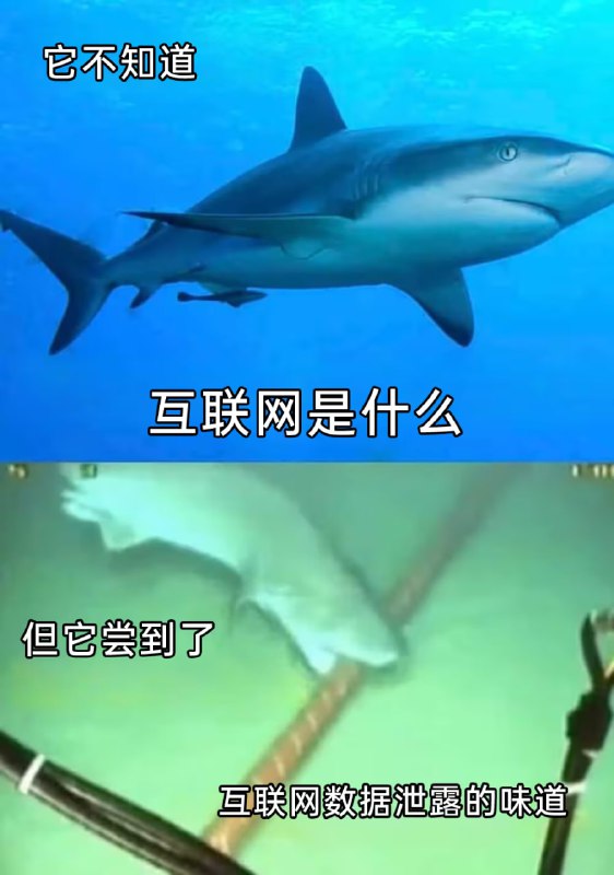 via 6号沙雕网友