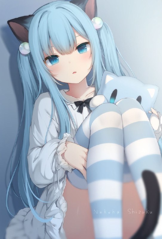 from 猫猫窝🐱
