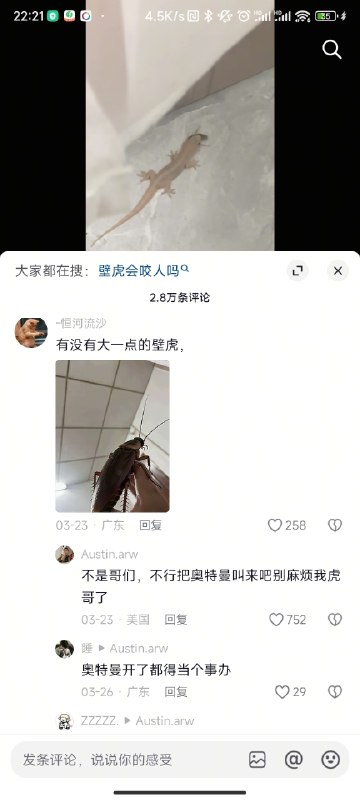 from ㅤ SpongeBob 绵鸣 Ⓥ审核注