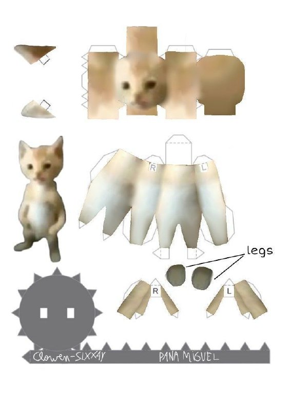注