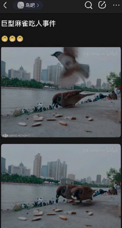 via 7号沙雕网友