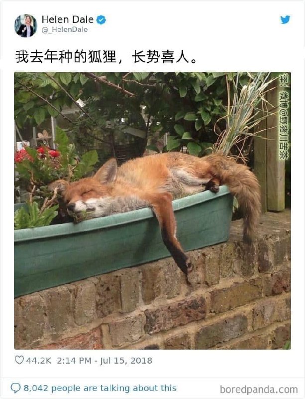 from 猫猫窝🐈🐈‍⬛️