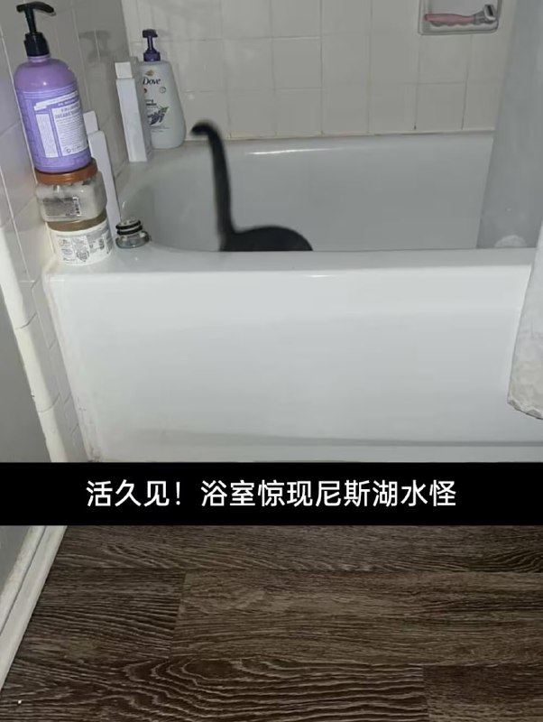 via 8号沙雕网友