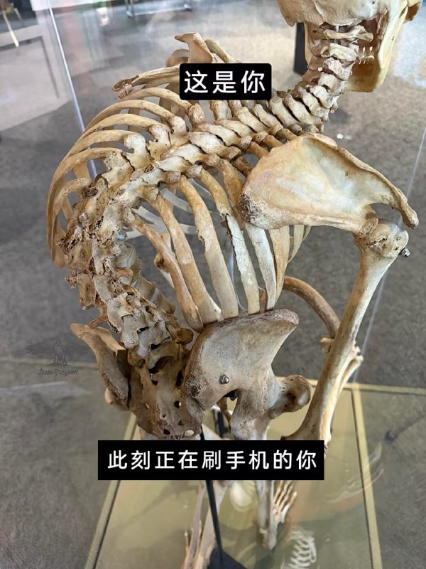 via 7号沙雕网友