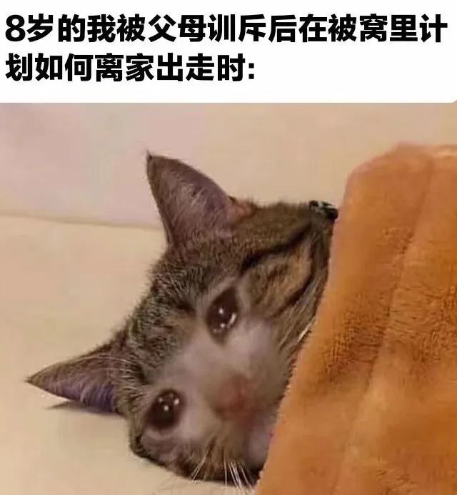 每日破防via Δ•᷄ࡇ•᷅ 大屁屁 🅥 ᯤ⅘ᴳ每日破防via Δ•᷄ࡇ•᷅ 大屁屁 🅥 ᯤ⅘ᴳ