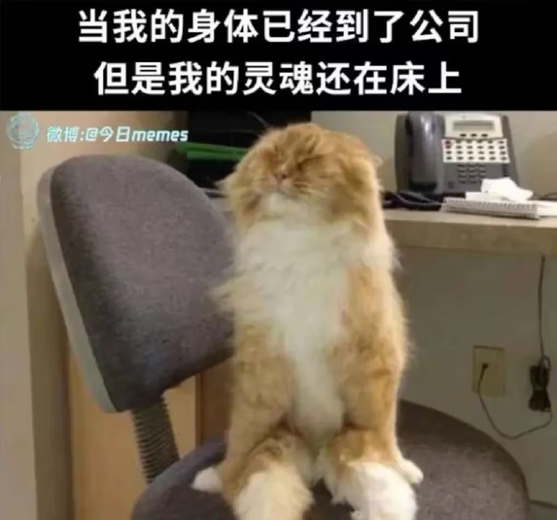 via 6号沙雕网友
