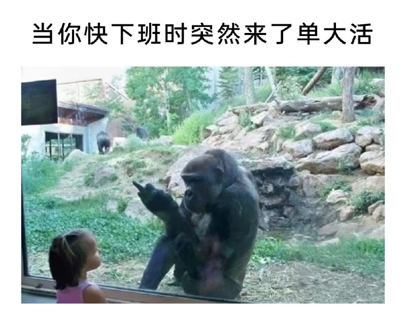 via 7号沙雕网友