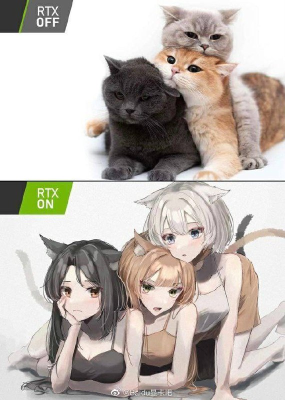from 猫猫窝🐈🐈‍⬛️