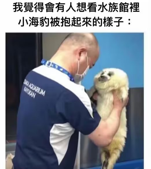 via 6号沙雕网友