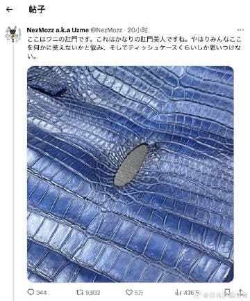 这里是鳄鱼的肛门，可以算得上是肛门美人呢