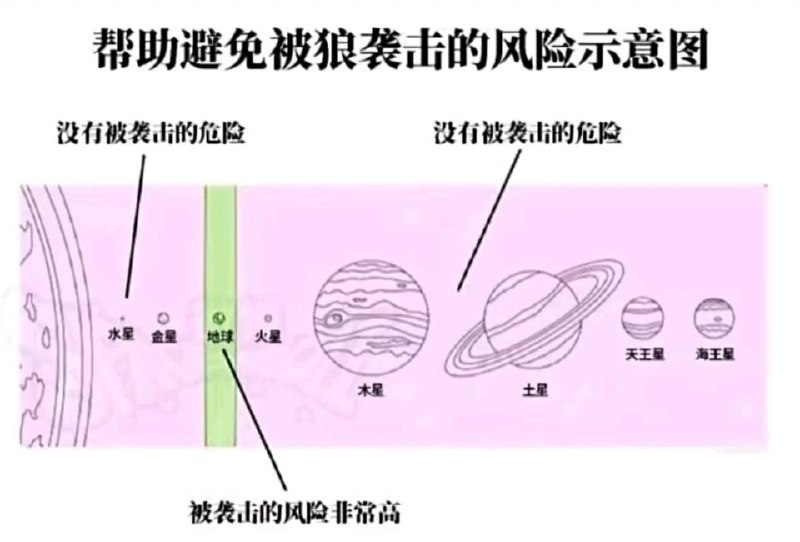 via 虾虾 雨