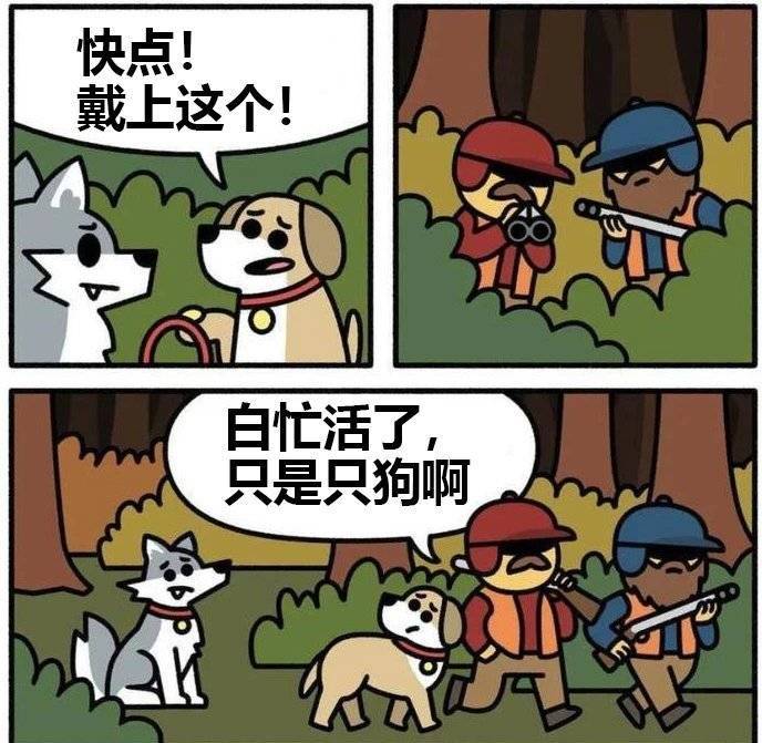 from 煎蛋无聊图