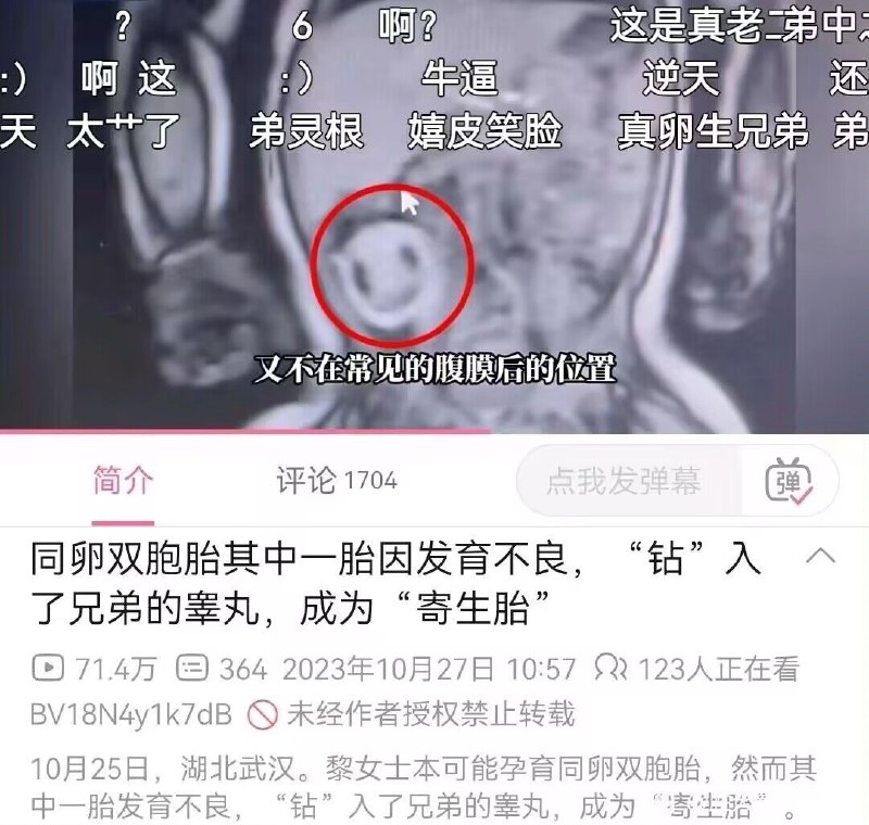 宰相蛋里能撑船via efsg