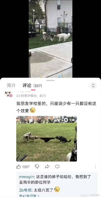 from 美图与沙雕